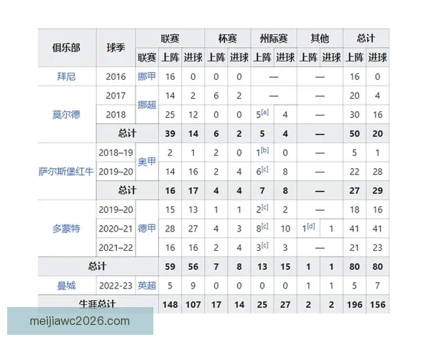 世界杯竞猜策略解析 如何通过胜负投注获取最大回报